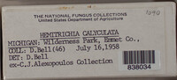 Image Associated With the Occurence